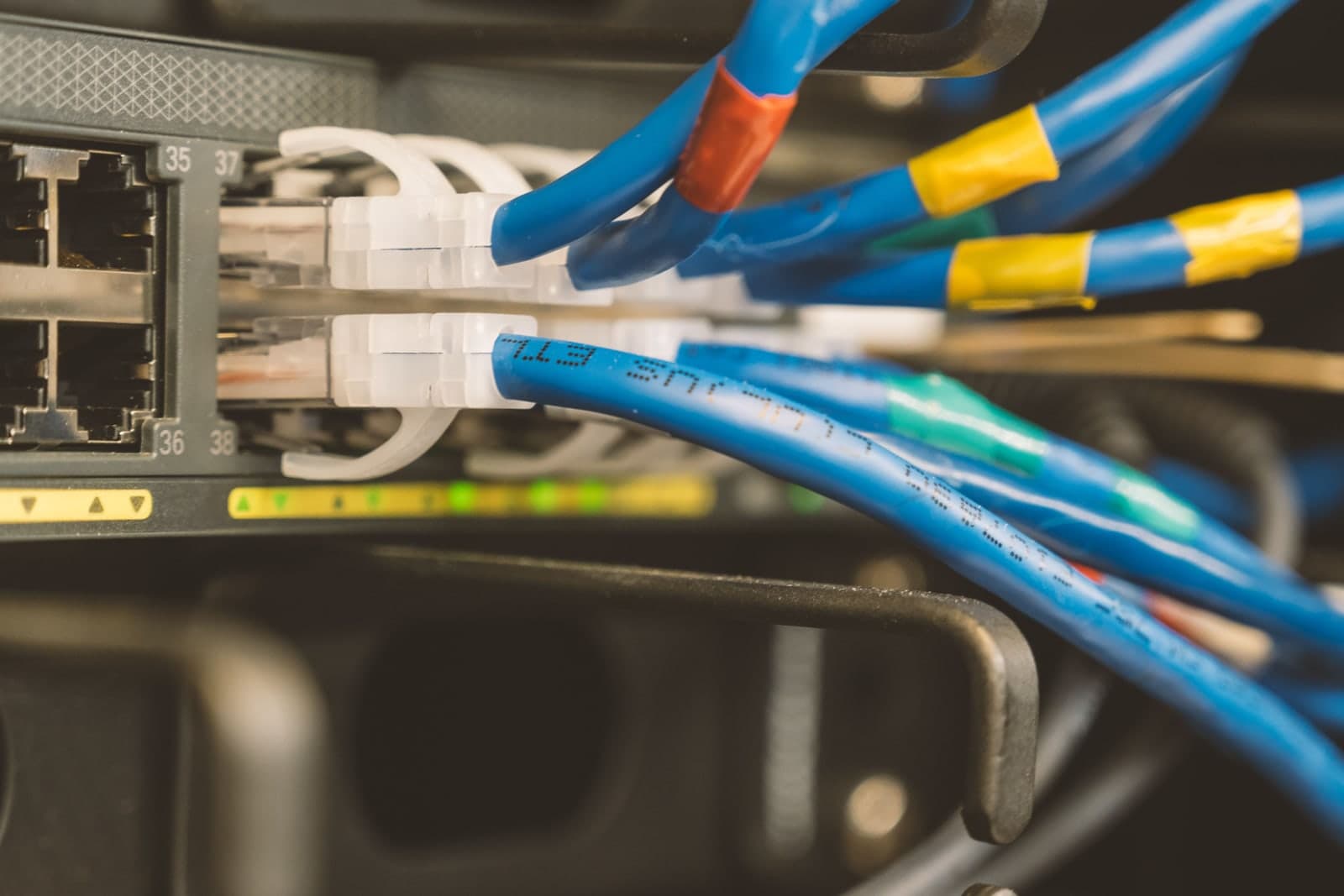 Blue network cables with white connectors in numbered switch ports