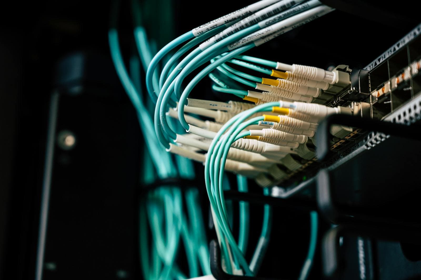 Network cables connected to equipment in a server rack