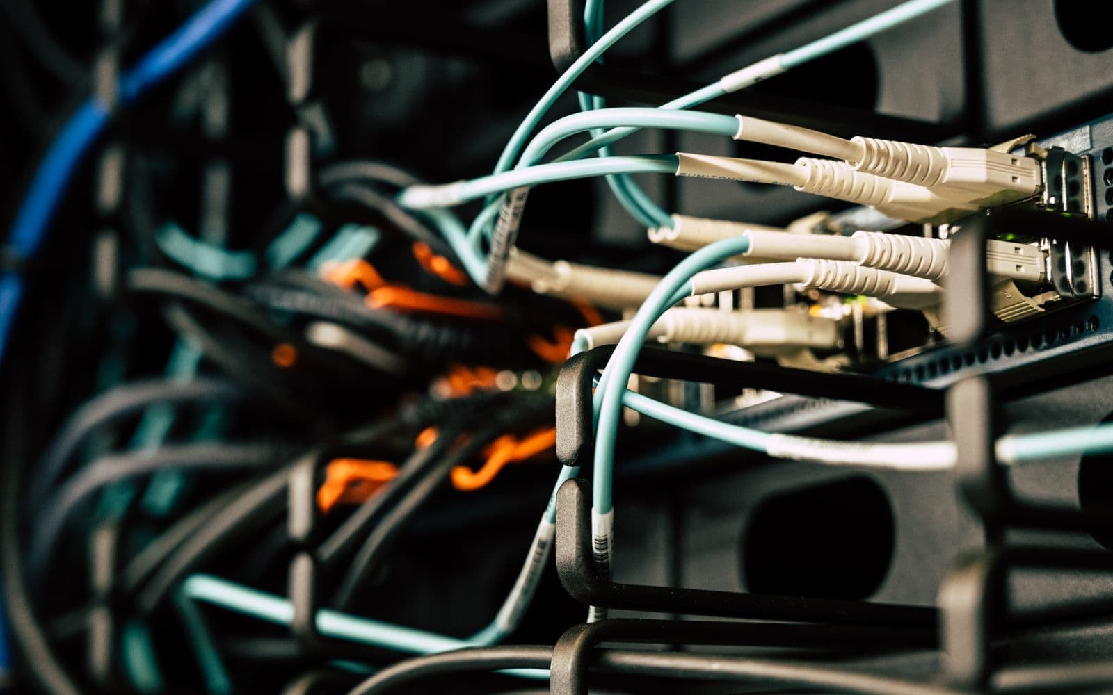 Densely cabled network systems at an infrastructure boundary