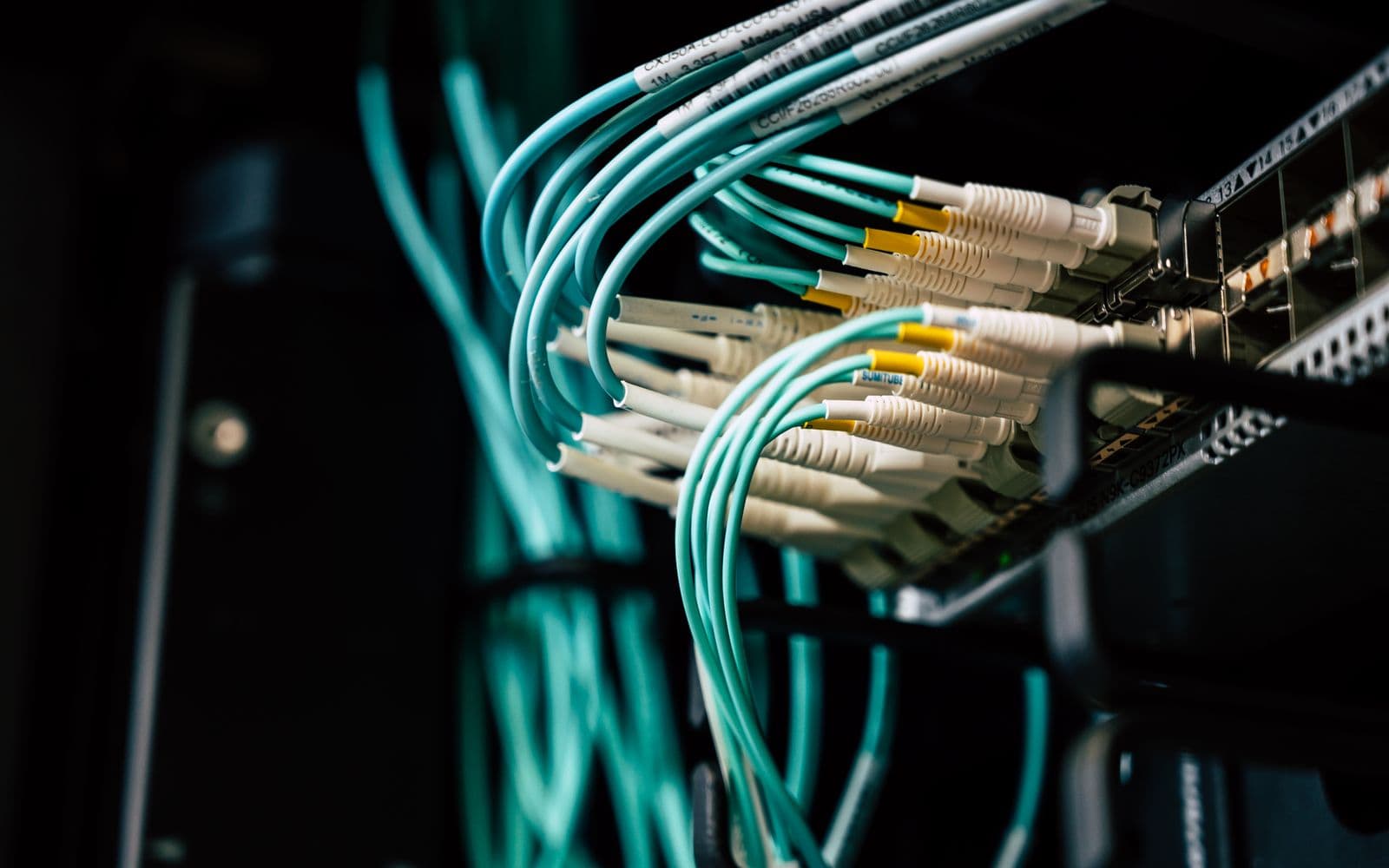 Netzwerkkabel an einem Server-Switch im Rechenzentrum